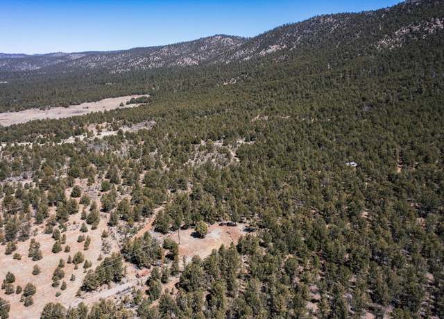 Property at 1480 State Road 111, Vallecitos, NM 87581