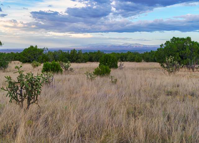 Property at 63 Pioneer Way, Cerrillos, NM 87010