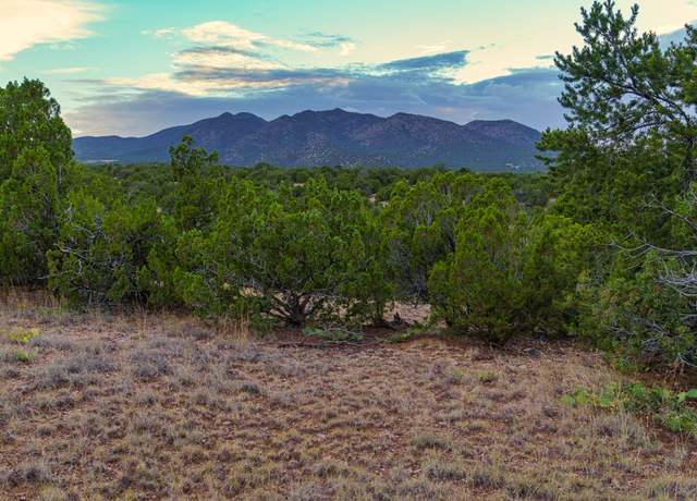 Property at 176 Wagon Trl, Cerrillos, NM 87010