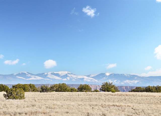 Property at Lot 16-B Laredowood Dr, Medanales, NM 87548