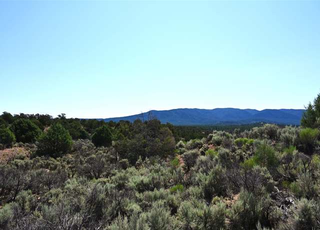 Property at 00 Nm Sr 96, Regina, NM 87046