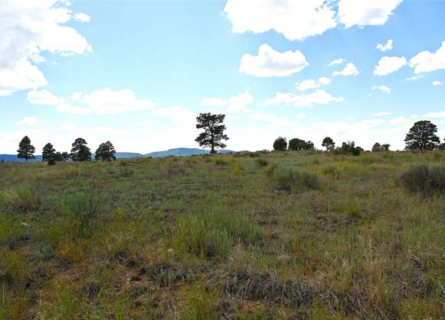 Property at 00 1796, Chama, NM 87520