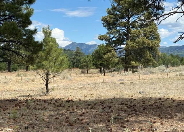 Property at 0 Thistle Loop, Chama, NM 87520