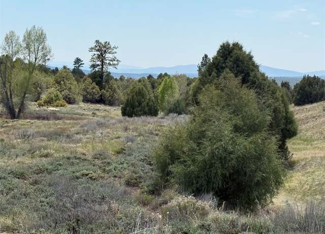 Property at 0 Porky Gulch, Chama, NM 87520