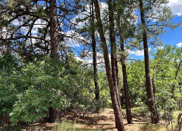 Property at 0 Block 2, Lot 15, Brazos Ests, Chama, NM 87520