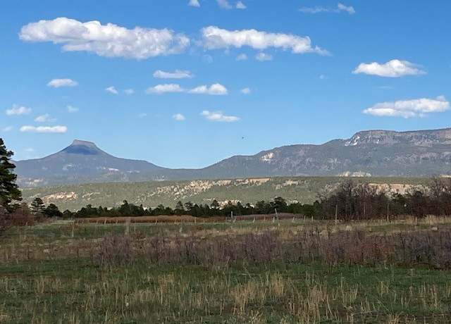Property at 20.535 Acres Cr 425, Coyote, NM 87012