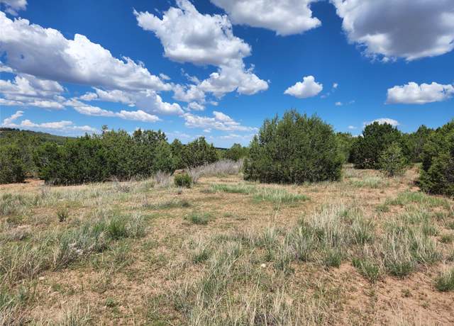 Property at XXXX Brannon Loop, Tijeras, NM 87059
