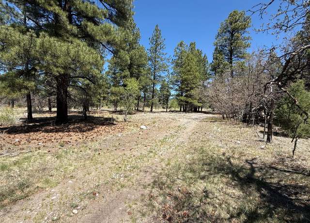 Property at TBD State Road 512, Chama, NM 87520