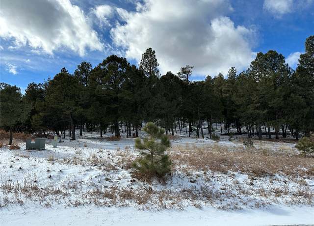 Property at 3 Colibri Ct, Pecos, NM 87552