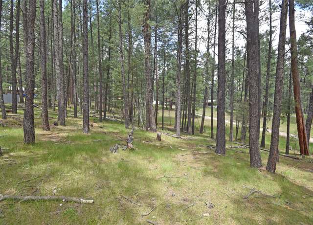 Property at Lots 2 and 3 Hidden Valley Rd, Jemez Springs, NM 87025