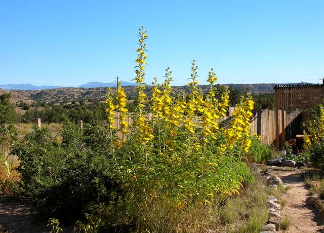 Property at 44A Goldmine Unit A, Cerrillos, NM 87010