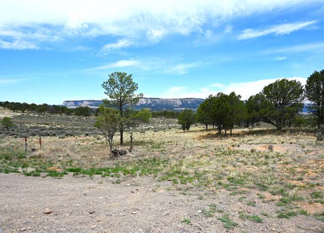 Property at 52 Canjillon, Tierra Amarilla, NM 87551, 1 bed, 1 bath