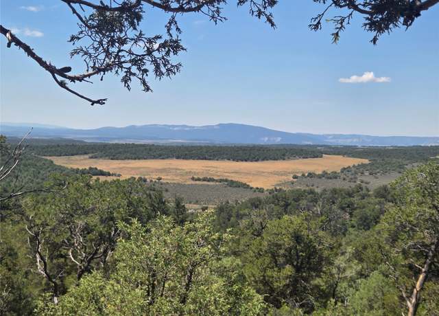 Property at Lot 16 Unit 4, Tierra Amarilla, NM 87575