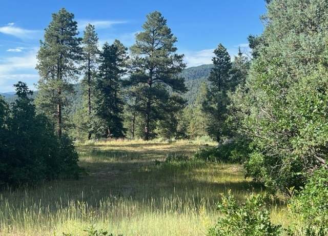 Property at TBD Eagles 2a, Chama, NM 87520