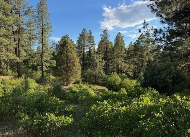 Property at TBD Eagles 2a, Chama, NM 87520