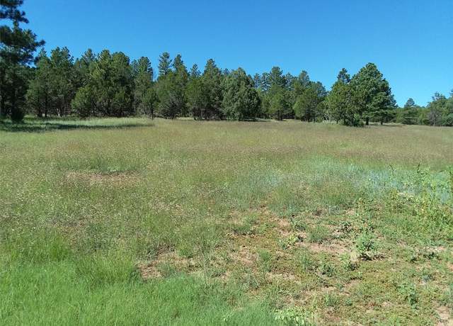 Property at 344 Forest Rd 83, Pecos, NM 87552