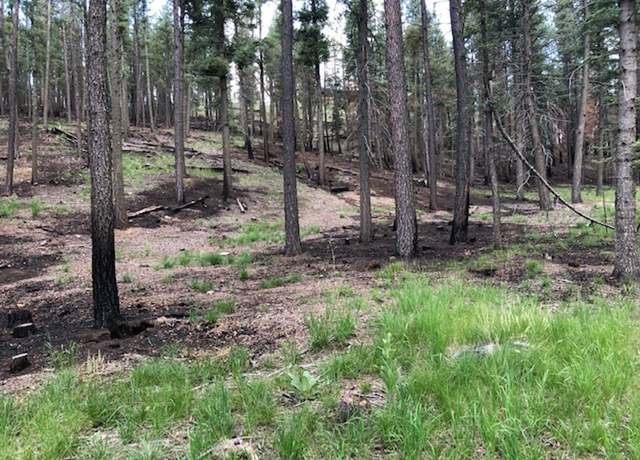 Property at Lot 102 Pendaries Village Club Subdivision 3, Rociada, NM 87742