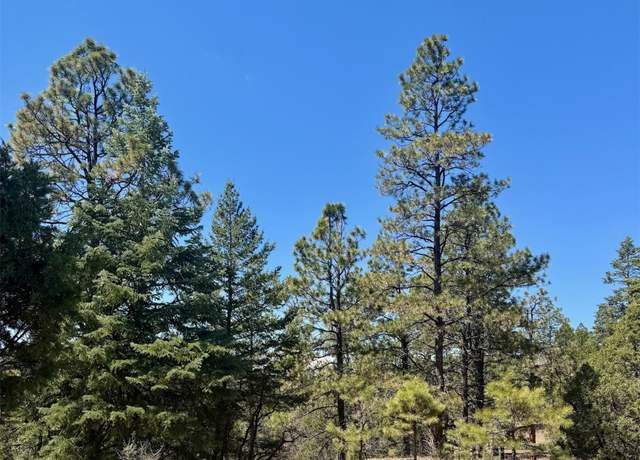 Property at 2A Cr 349, Chama, NM 87520