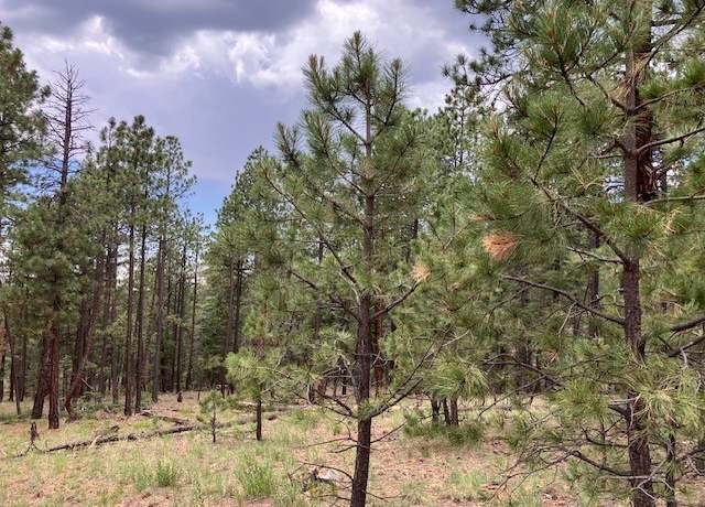 Property at 23 Acres, Pecos, NM 87552
