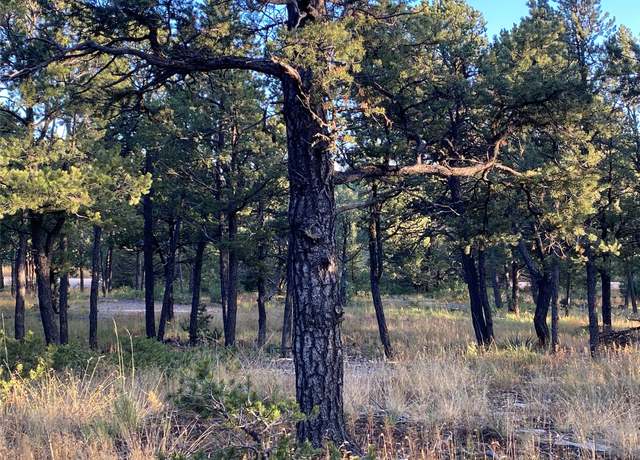Property at 3 Dancing Hawk Dr, Pecos, NM 87552