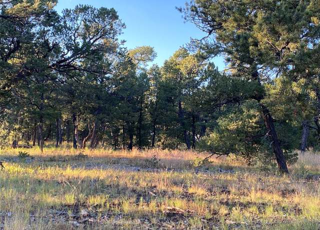 Property at 47 Silver Feather Trl, Pecos, NM 87552