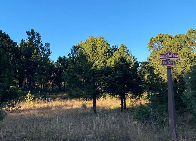 Property at 73 Silver Feather Trl, Pecos, NM 87552