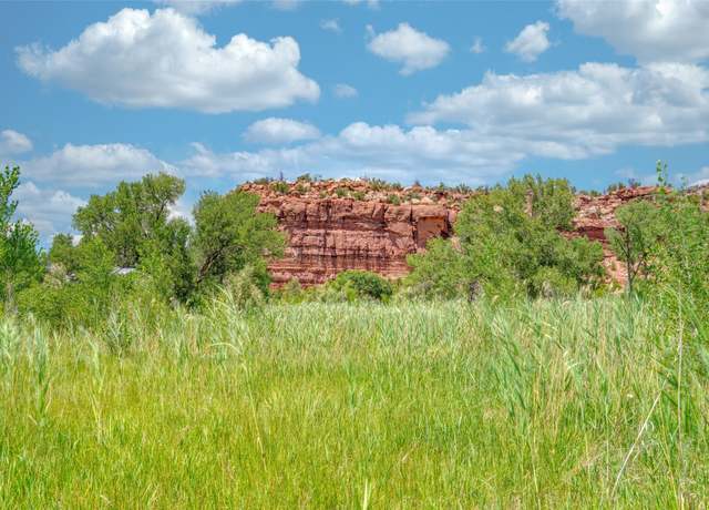 Property at 3125A State Highway 96, Coyote, NM 87012