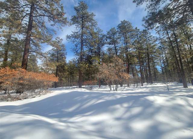 Property at R-19S R-19N Serenity, Chama, NM 87520