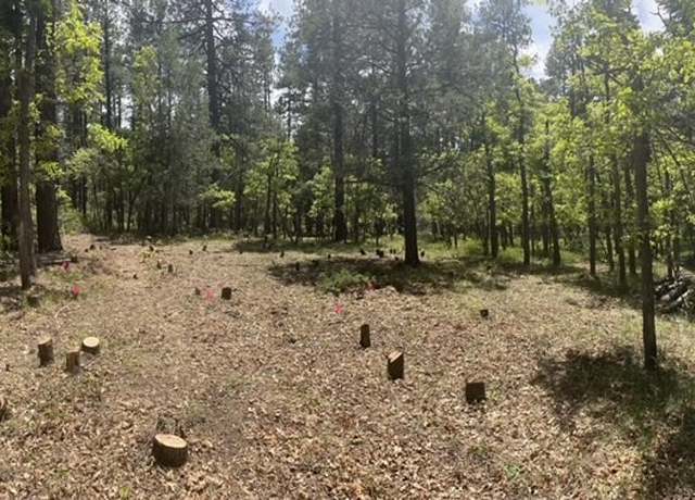 Property at Block 3 Lot 17 Brazos Mdws, Chama, NM 87520