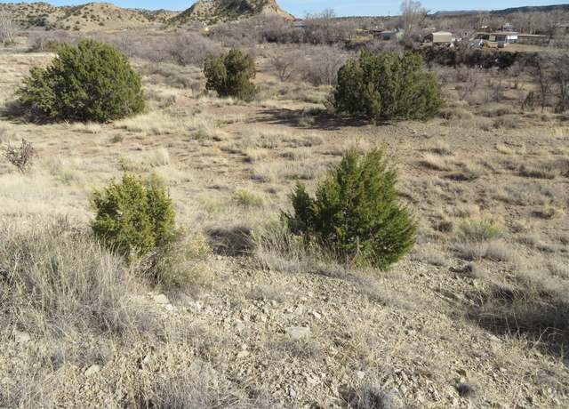 Property at 44 Yerba Buena, Cerrillos, NM 87010