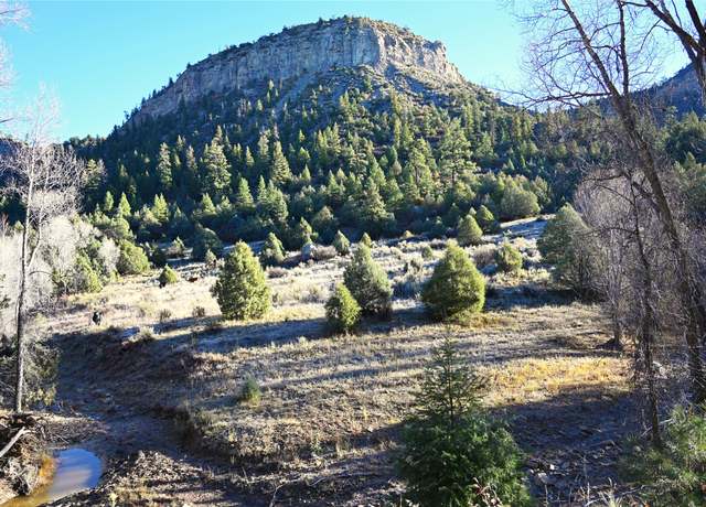 Property at 00 Cr 352, Chama, NM 87528