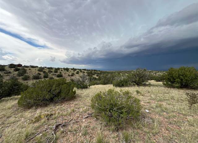 Property at 29 Trigg Trl, Cerrillos, NM 87010