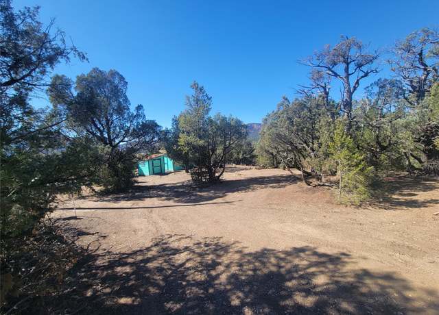 Property at Block 8 Lot 3, Los Ojos, NM 87551