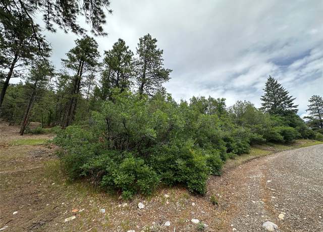 Property at Block 1 Lot 19 Brazos Ests, Chama, NM 87520