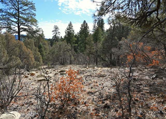 Property at 00 Bear Rd Cr 322 Unit D-1 Lot 12, Tierra Amarilla, NM 87575