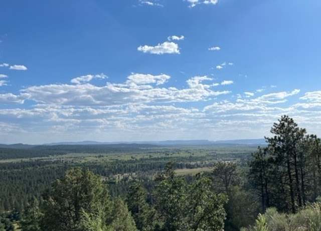 Property at TBD Ticonderoga, Chama, NM 87520