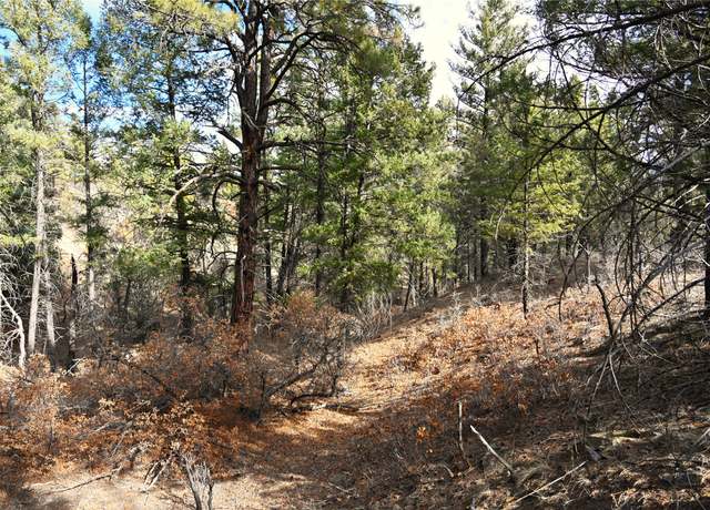 Property at 00 Bear Rd Cr 322 Unit D-1 Lot 11, Tierra Amarilla, NM 87575