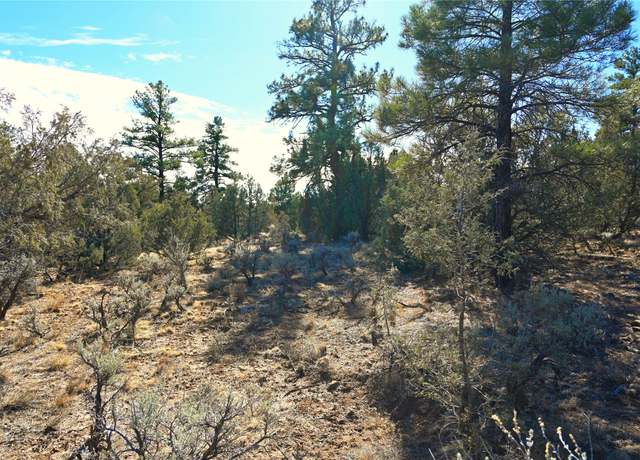 Property at 00 Venado Dr Cr 322 Unit D-1 Lot 79, Tierra Amarilla, NM 87575