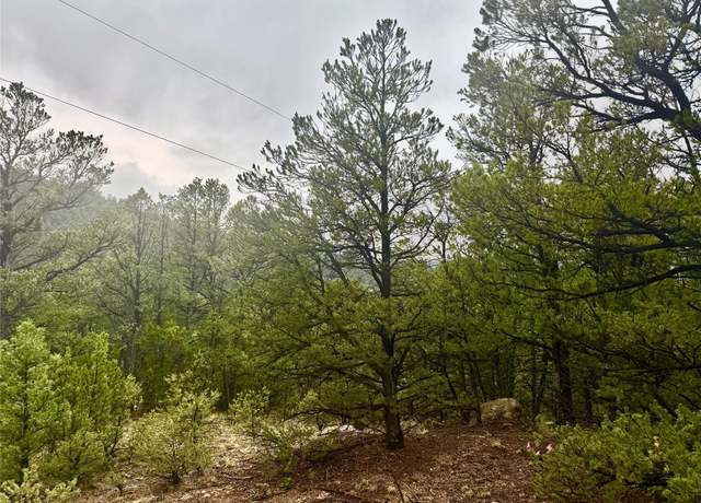 Property at 1 Acre Highway 63, Pecos, NM 87552