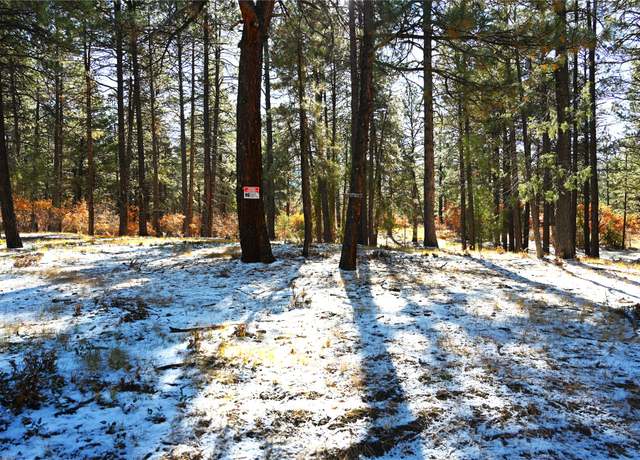 Property at 00 Venado Ln, Chama, NM 87520