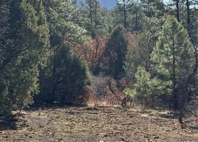 Property at 67 Pd 1755, Chama, NM 87520