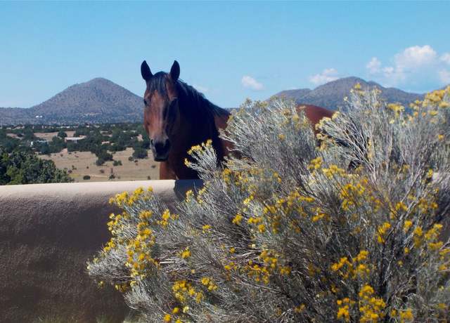 Property at 263 Camino Los Abuelos, Santa Fe, NM 87508, 4 beds, 3 baths