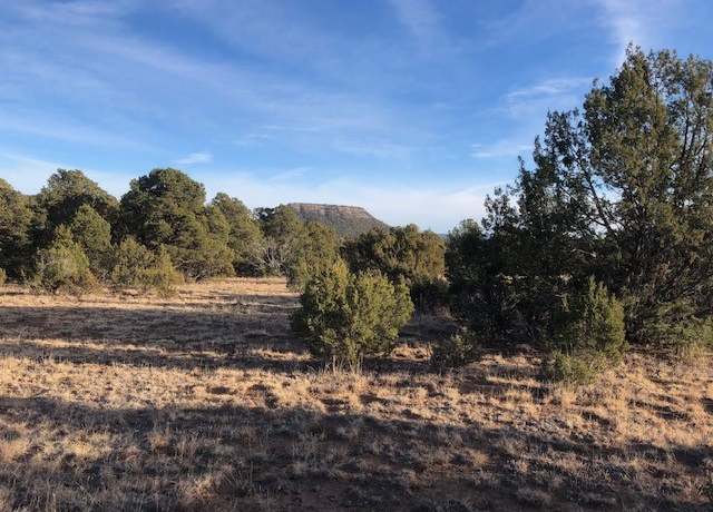 Property at 5 acres Cr A20, Las Vegas, NM 87701