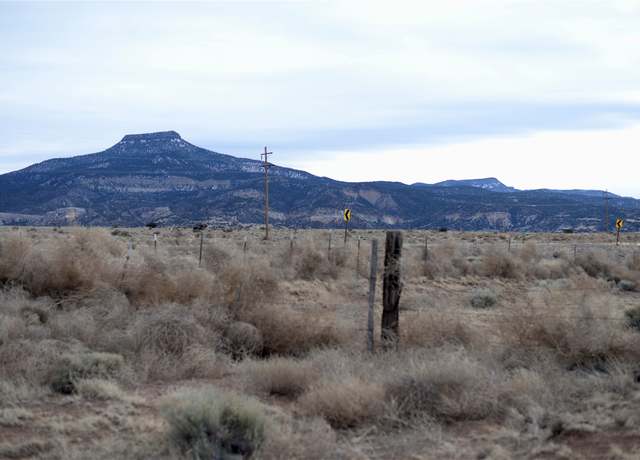 Property at Lots 21 & 22 Private Drive 1725, Abiquiu, NM 87064