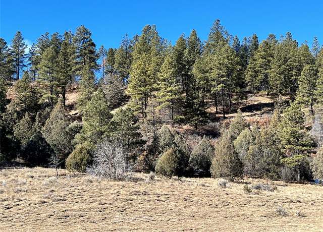 Property at 270 Cr 352, Dulce, NM 87528