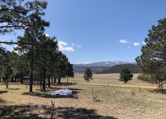 Property at Lot 65 Patron Rd, Rociada, NM 87742