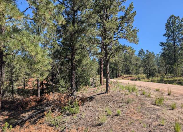 Property at 33 Avenida Mercedes, Pecos, NM 87552