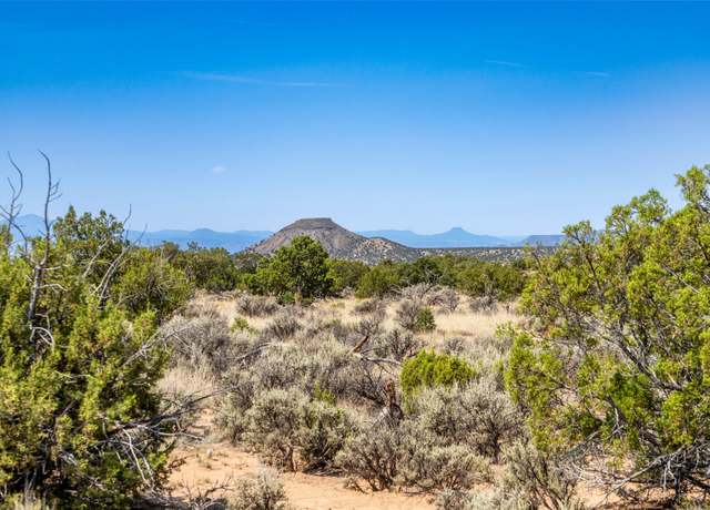 Property at 20 acres Mile Marker 359 Hwy 285, Ojo Caliente, NM 87549