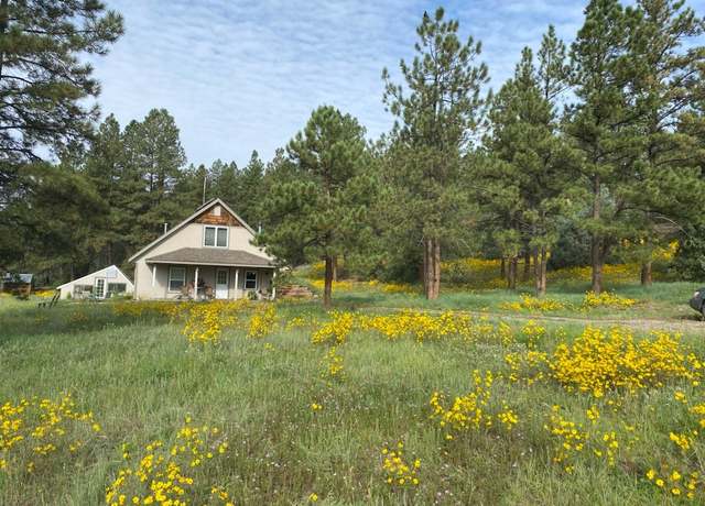 Property at 150 Forest Service Road 124, Cebolla, NM 87518, 3 beds, 3 baths