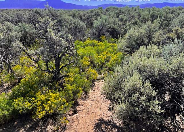 Property at XX County Road Cb-115 & West Rim Rd, Taos, NM 87517